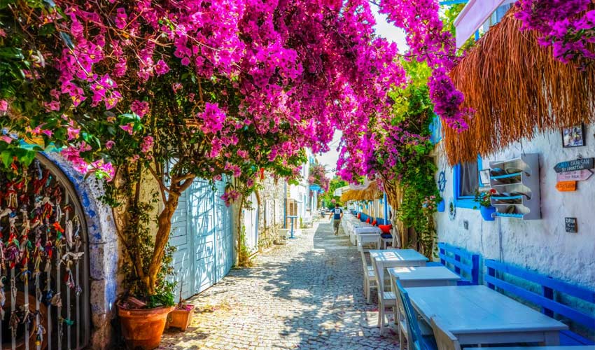 گشتوگذار در خیابانهای بدروم