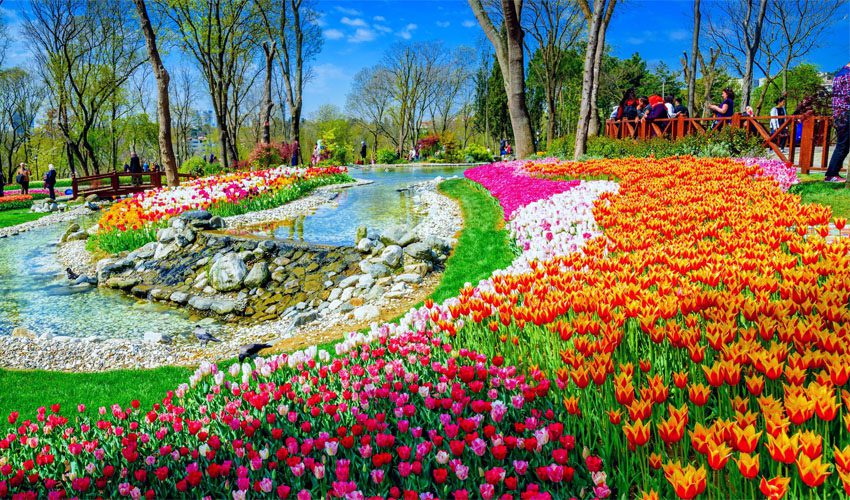 پارک امیرگان