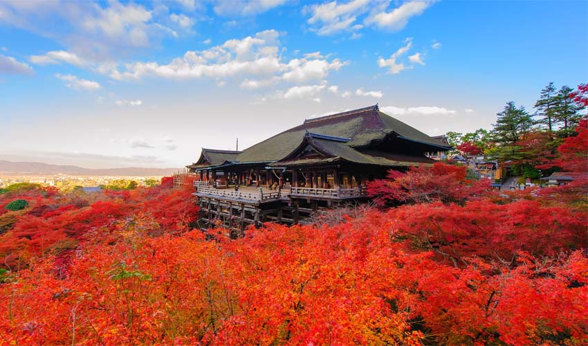 معبد کیومیزودرا Kiyomizudera