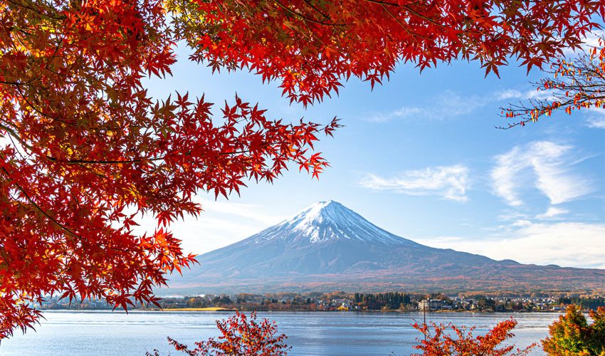 مزايای بازديد از مكان های ديدنی ژاپن در پاييز 