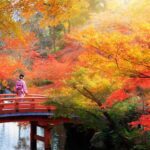 زیباترین مکان های پاییزی ژاپن