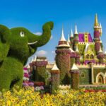 معرفی میراکل گاردن (باغ گلهای دبی )