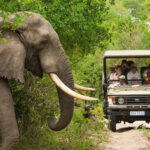 تصویر شاخص باغ وحش دبی