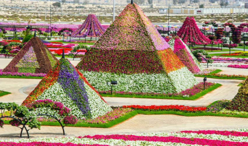 دانستنی های جالب باغ گل دبی (Miracle Garden)