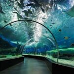 جاهای دیدنی کیش