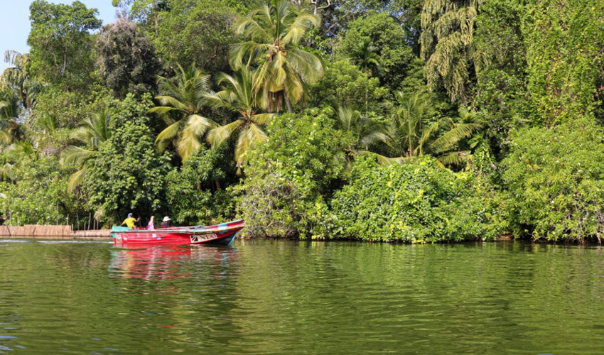 سافاری رودخانه‌ در بنتوتا