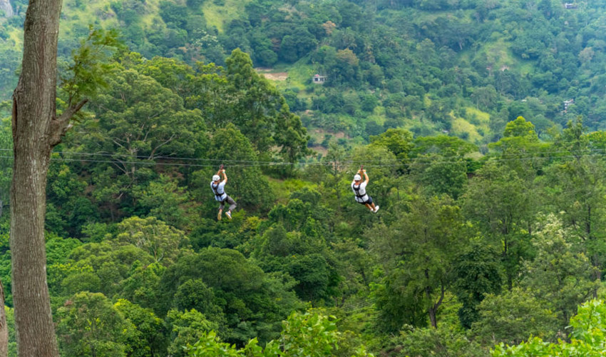 زیپ‌لاین الا