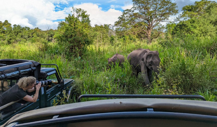 معرفی تفریحات هیجان‌انگیز در سریلانکا