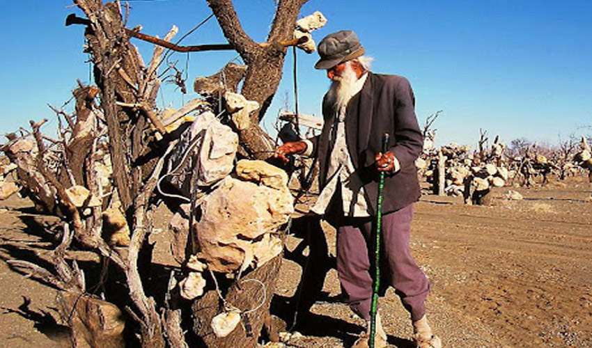 باغ سنگی در کرمان